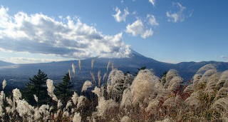 足柄城址からの富士山